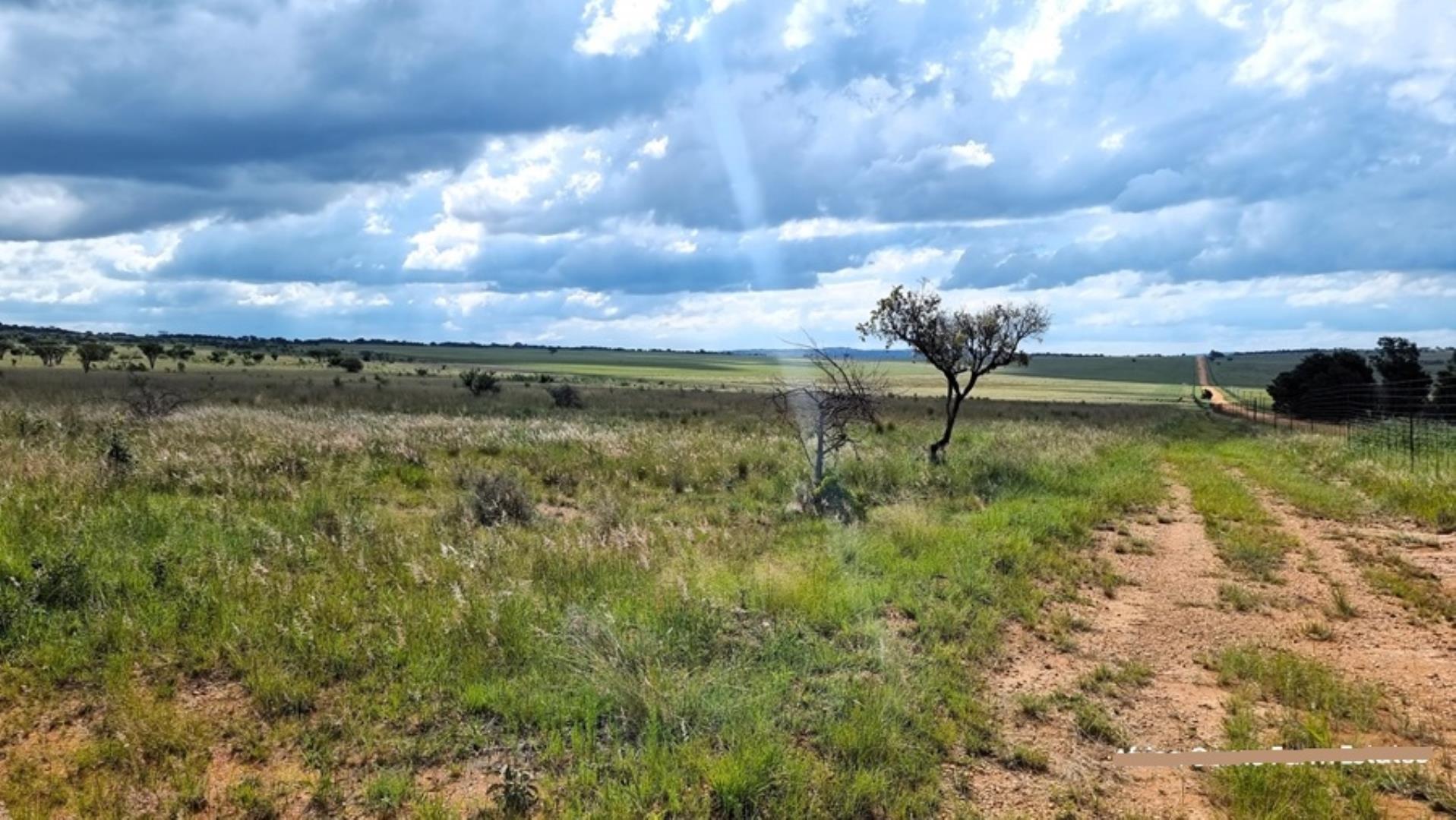 769253_Naboomspruit_Cattle_Farm_For_Sale__(32).jpg