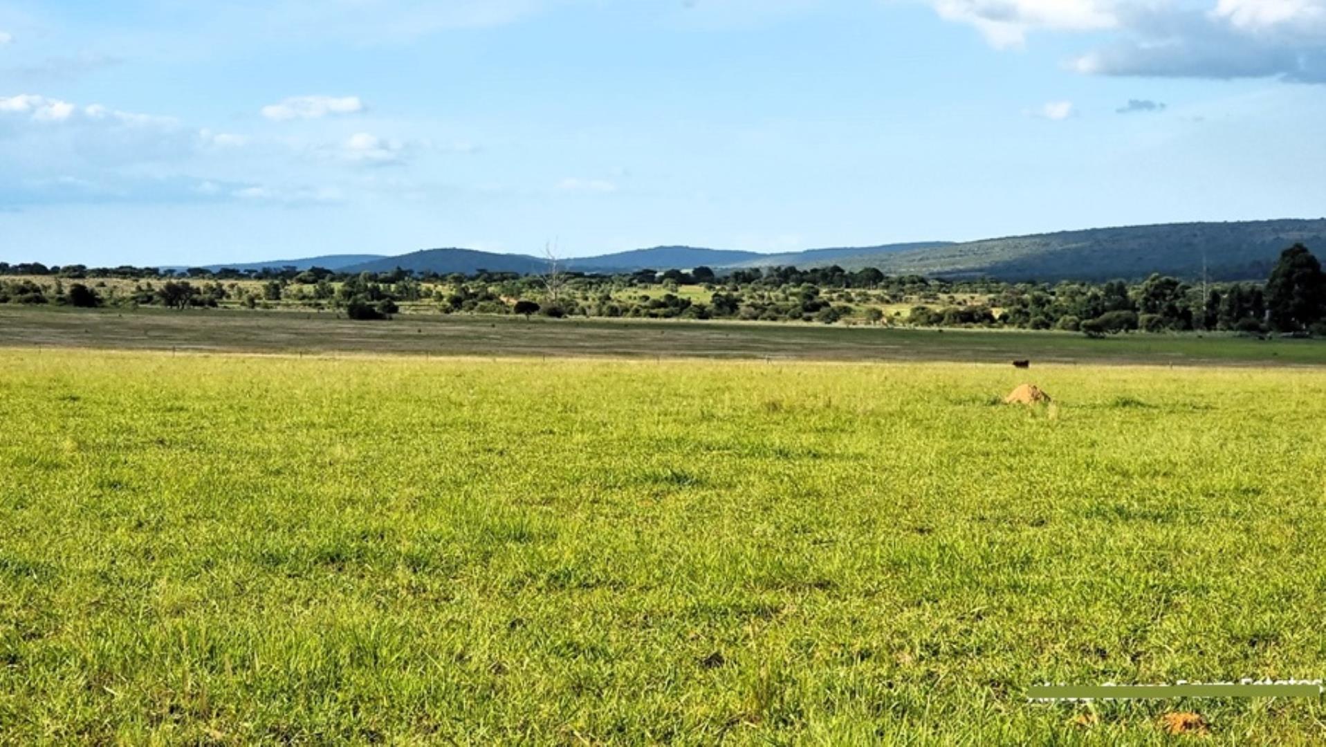 769253_Naboomspruit_Cattle_Farm_For_Sale__(40).jpg
