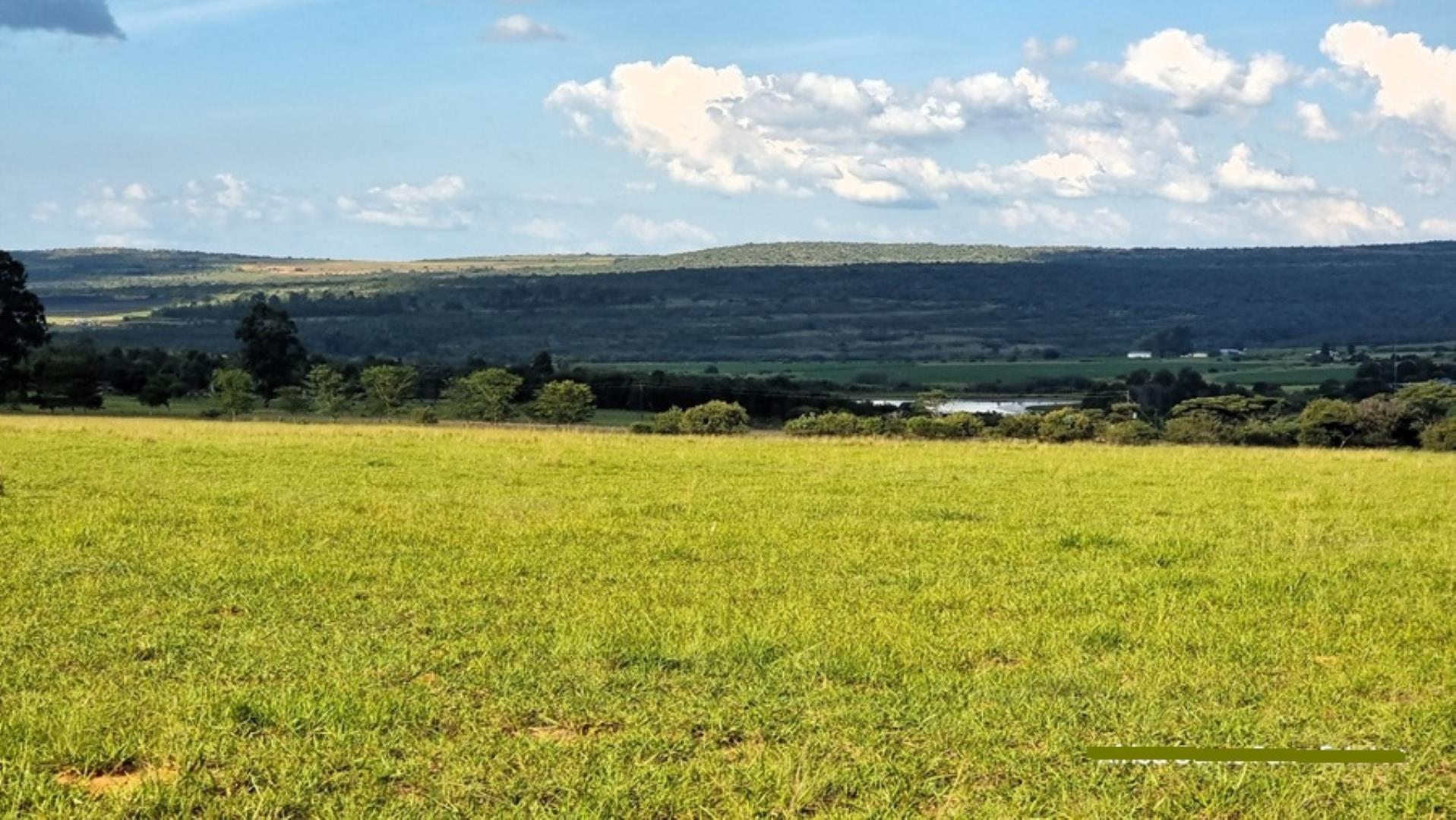 769253_Naboomspruit_Cattle_Farm_For_Sale__(41).jpg