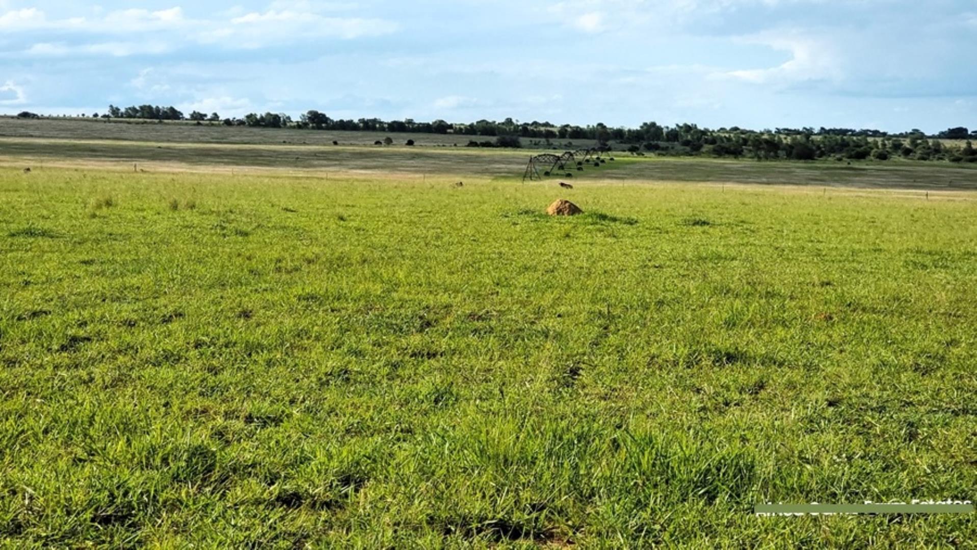 769253_Naboomspruit_Cattle_Farm_For_Sale__(42).jpg