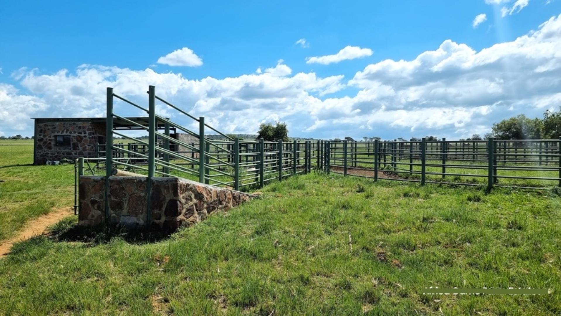 769253_Naboomspruit_Cattle_Farm_For_Sale__(6).jpg