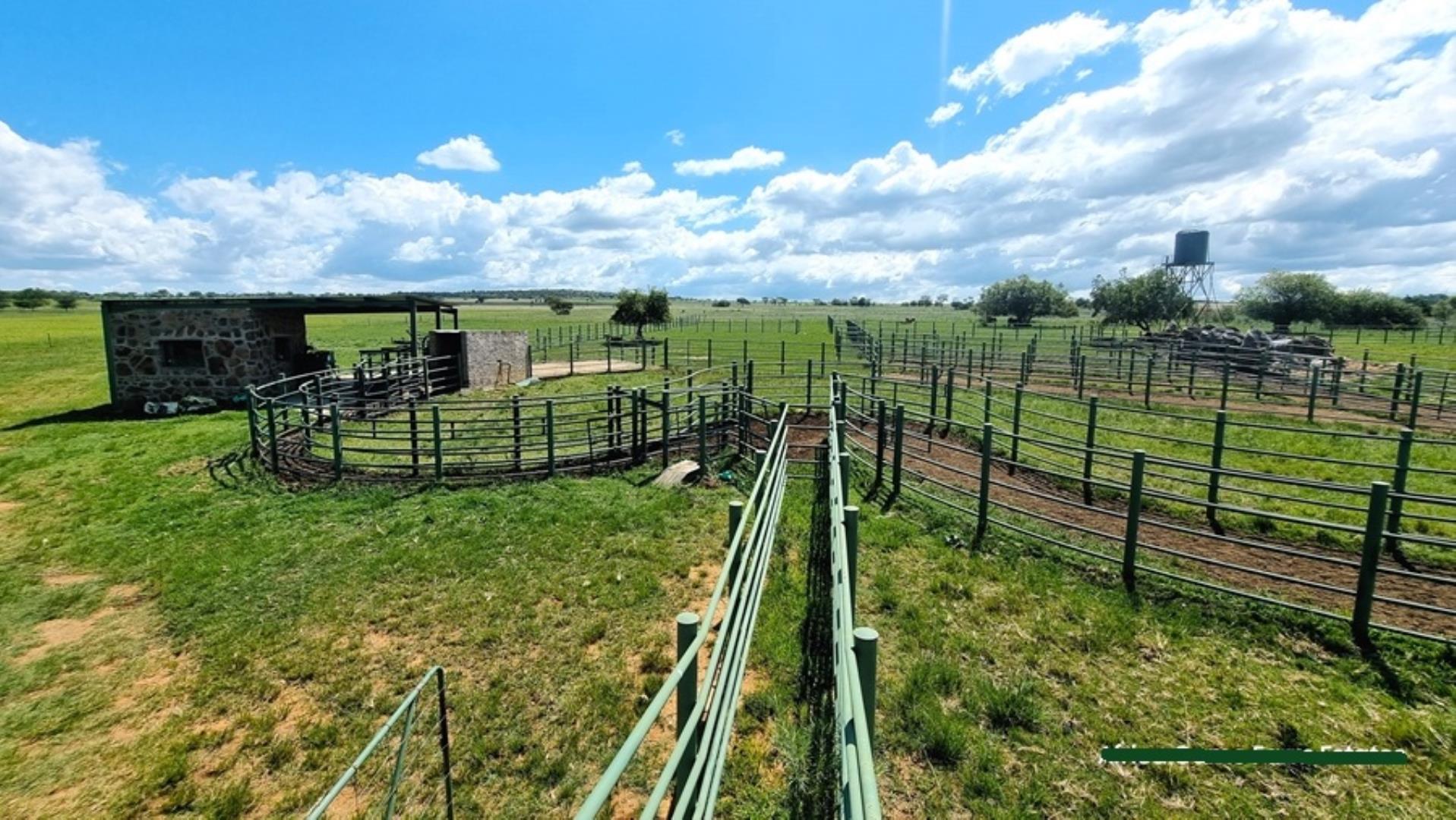 769253_Naboomspruit_Cattle_Farm_For_Sale__(7).jpg