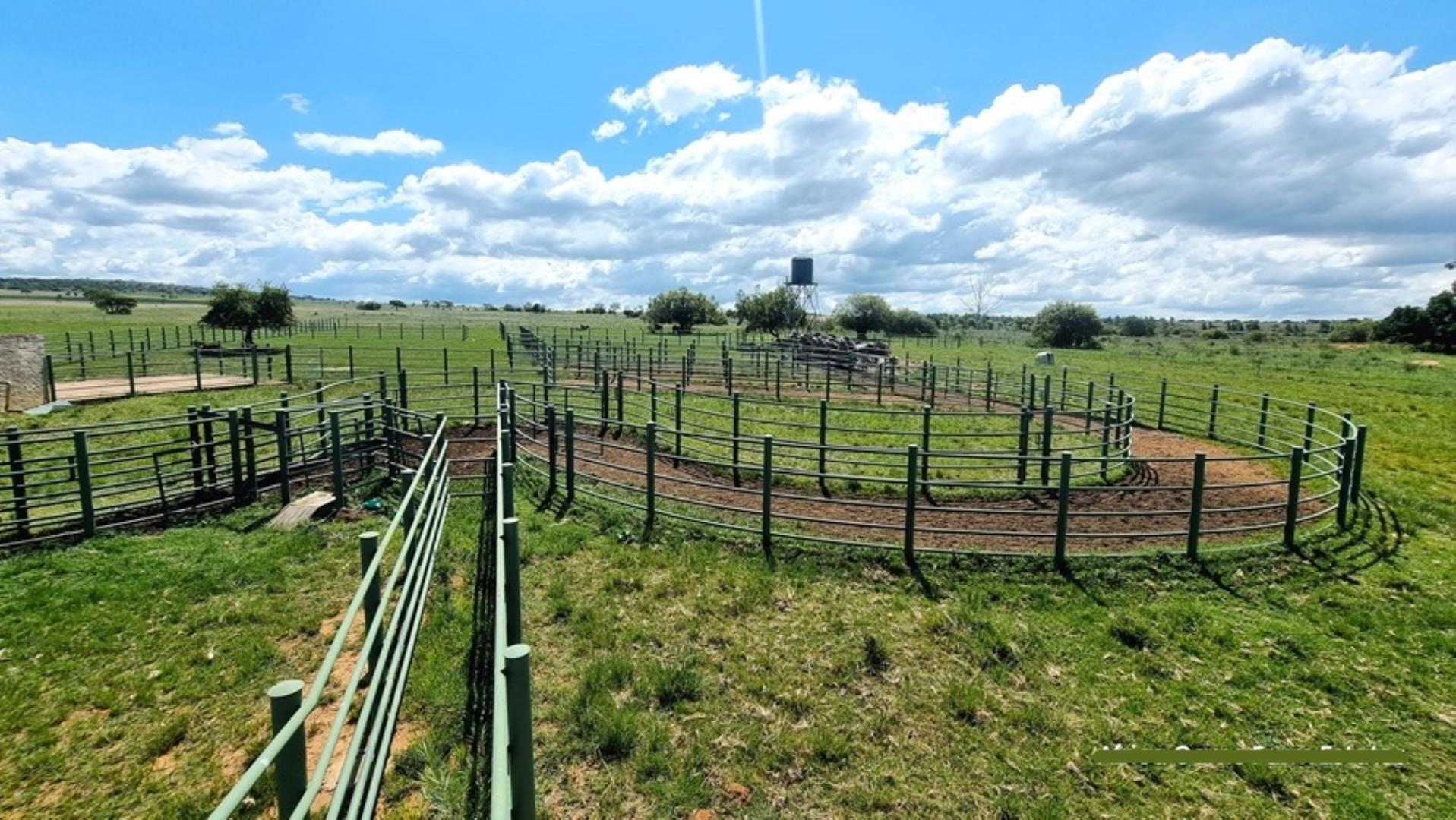 769253_Naboomspruit_Cattle_Farm_For_Sale__(8).jpg