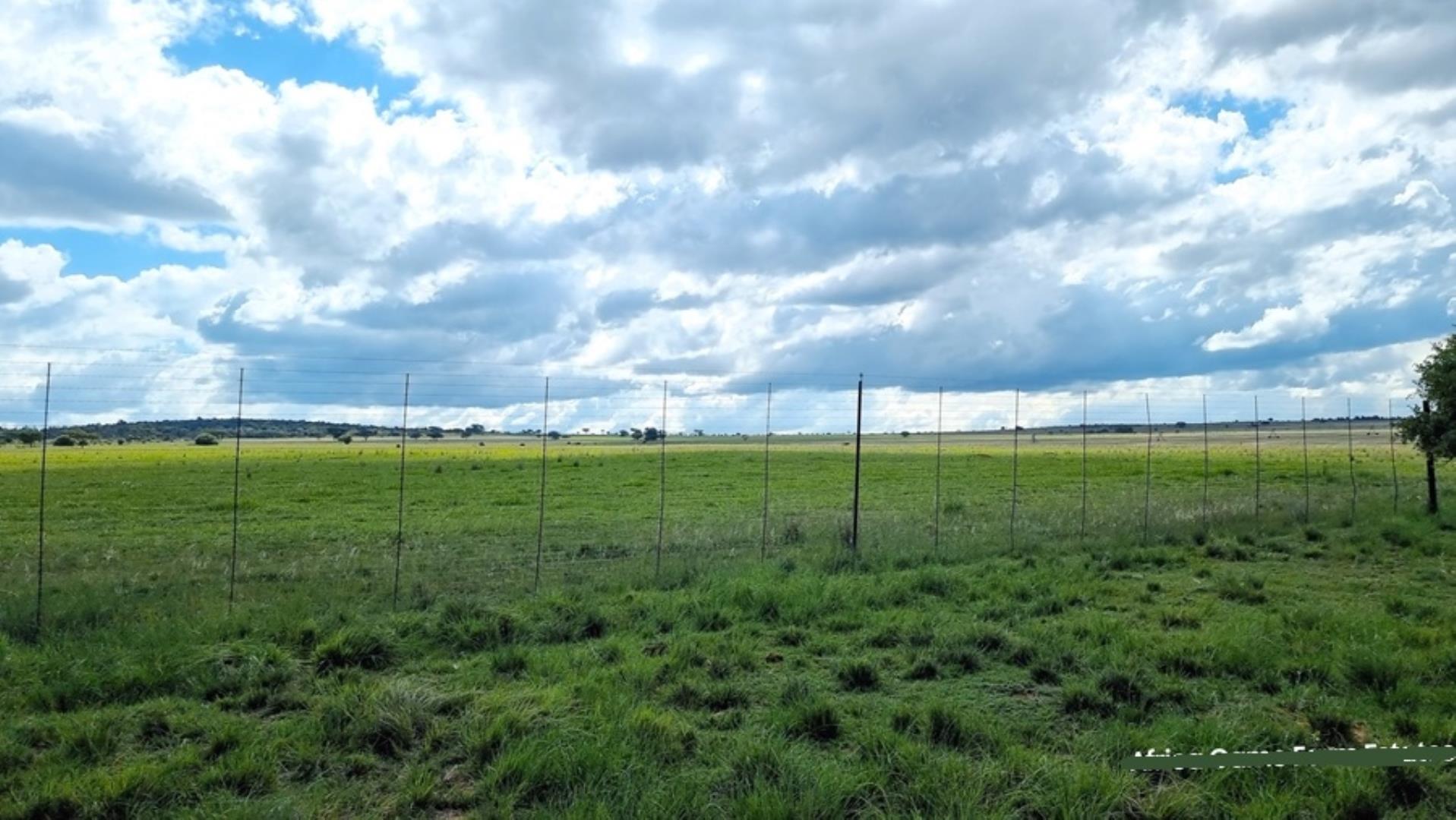 769254_Naboomspruit_Cattle_Farm_For_Sale__(21).jpg