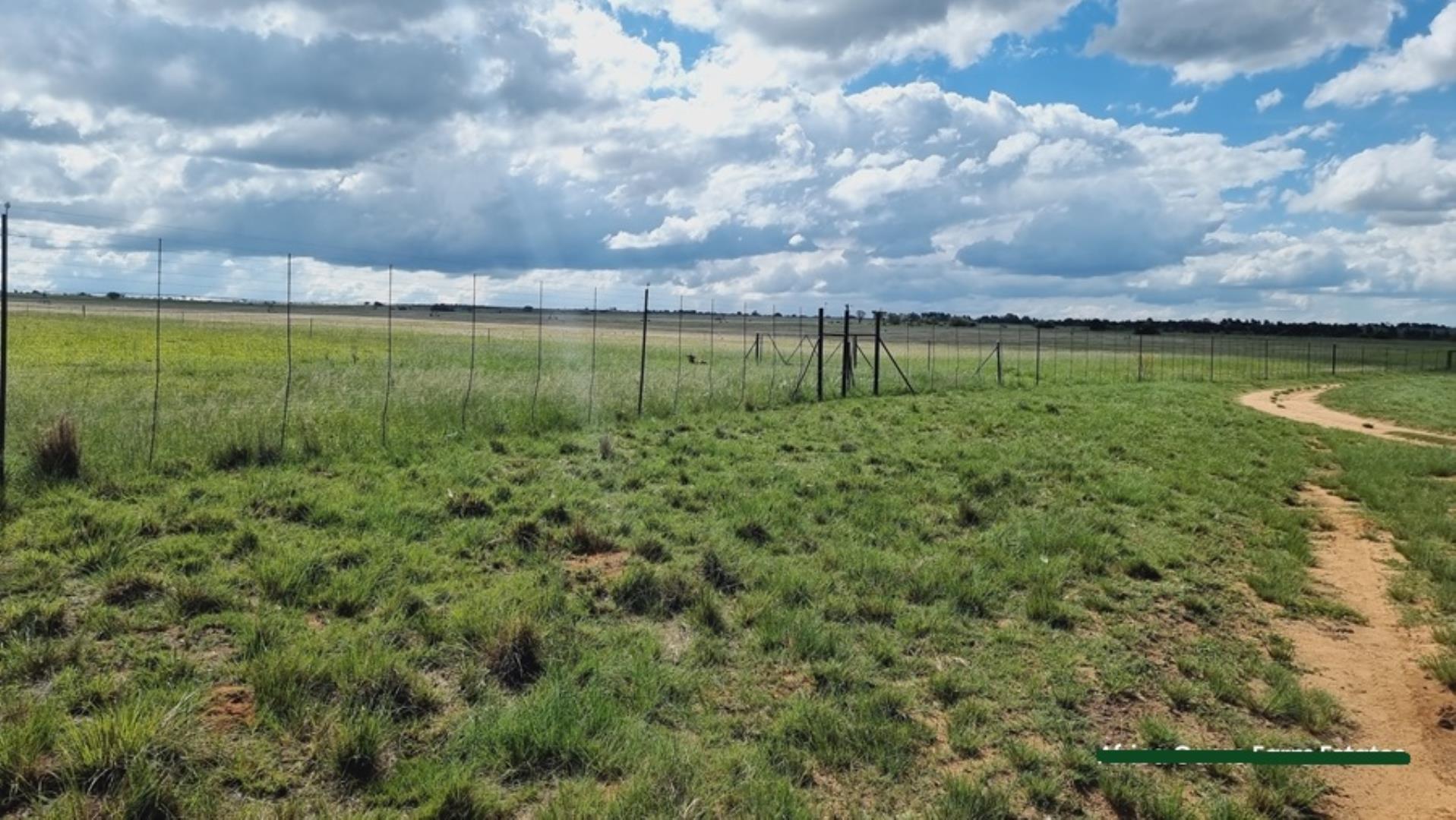 769254_Naboomspruit_Cattle_Farm_For_Sale__(23).jpg