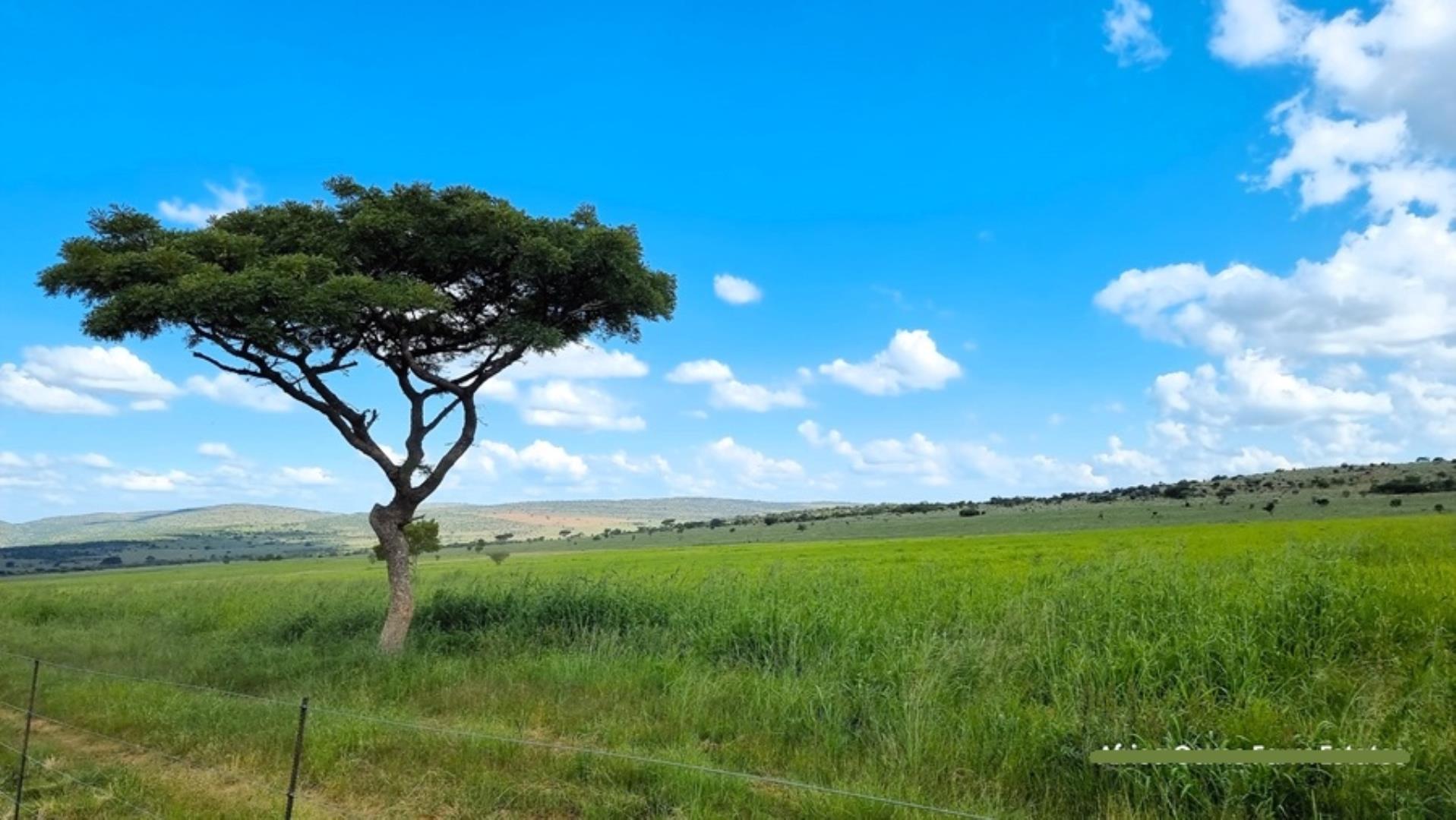 769254_Naboomspruit_Cattle_Farm_For_Sale__(30).jpg