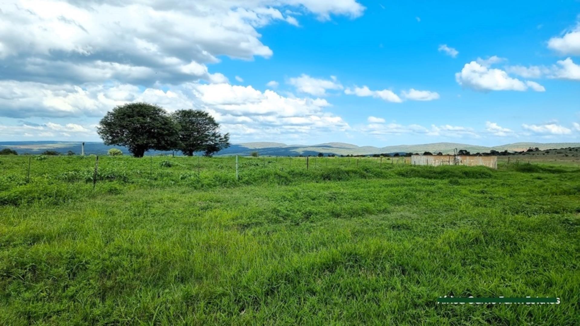 769254_Naboomspruit_Cattle_Farm_For_Sale__(33).jpg