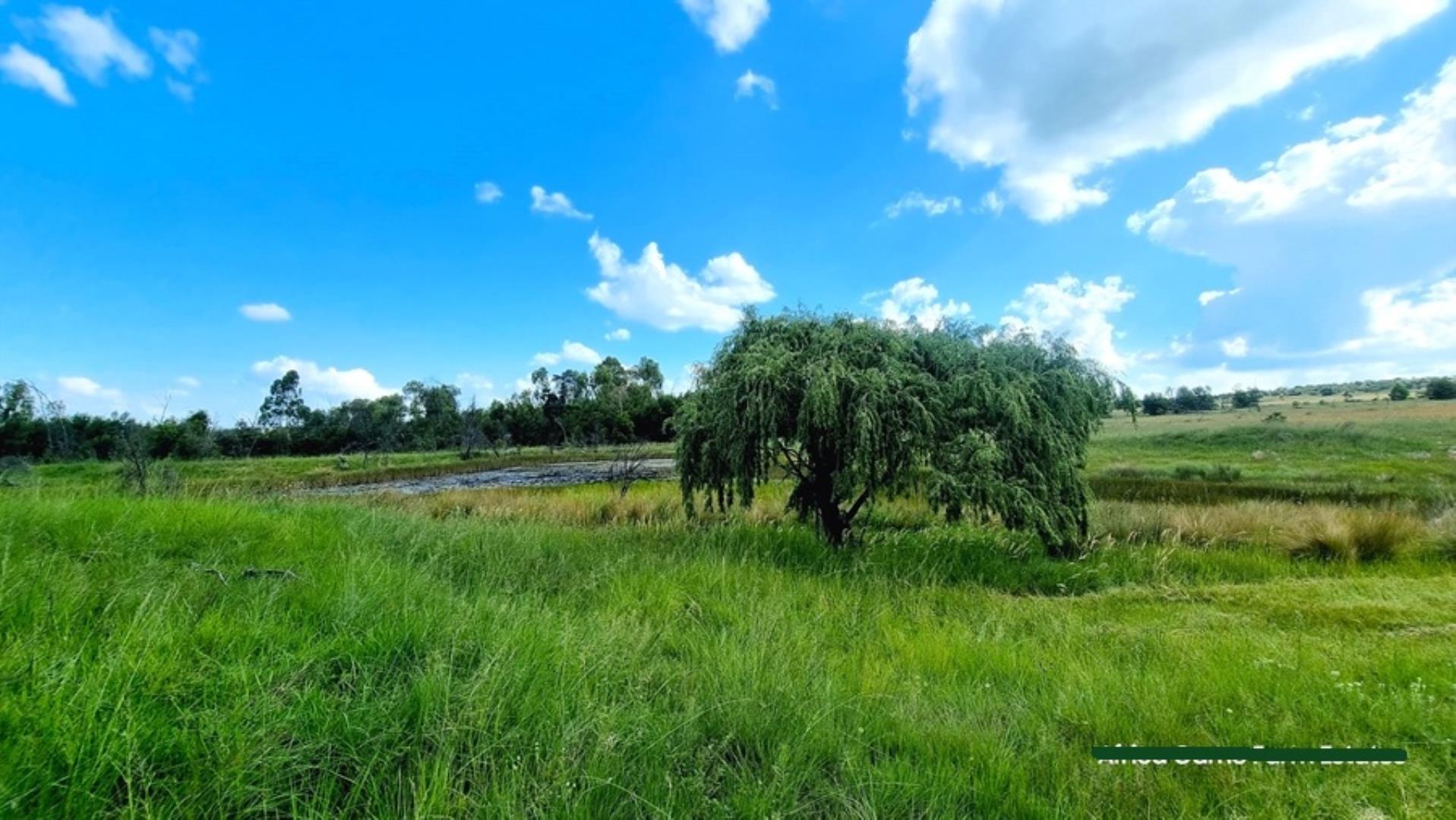 769254_Naboomspruit_Cattle_Farm_For_Sale__(34).jpg