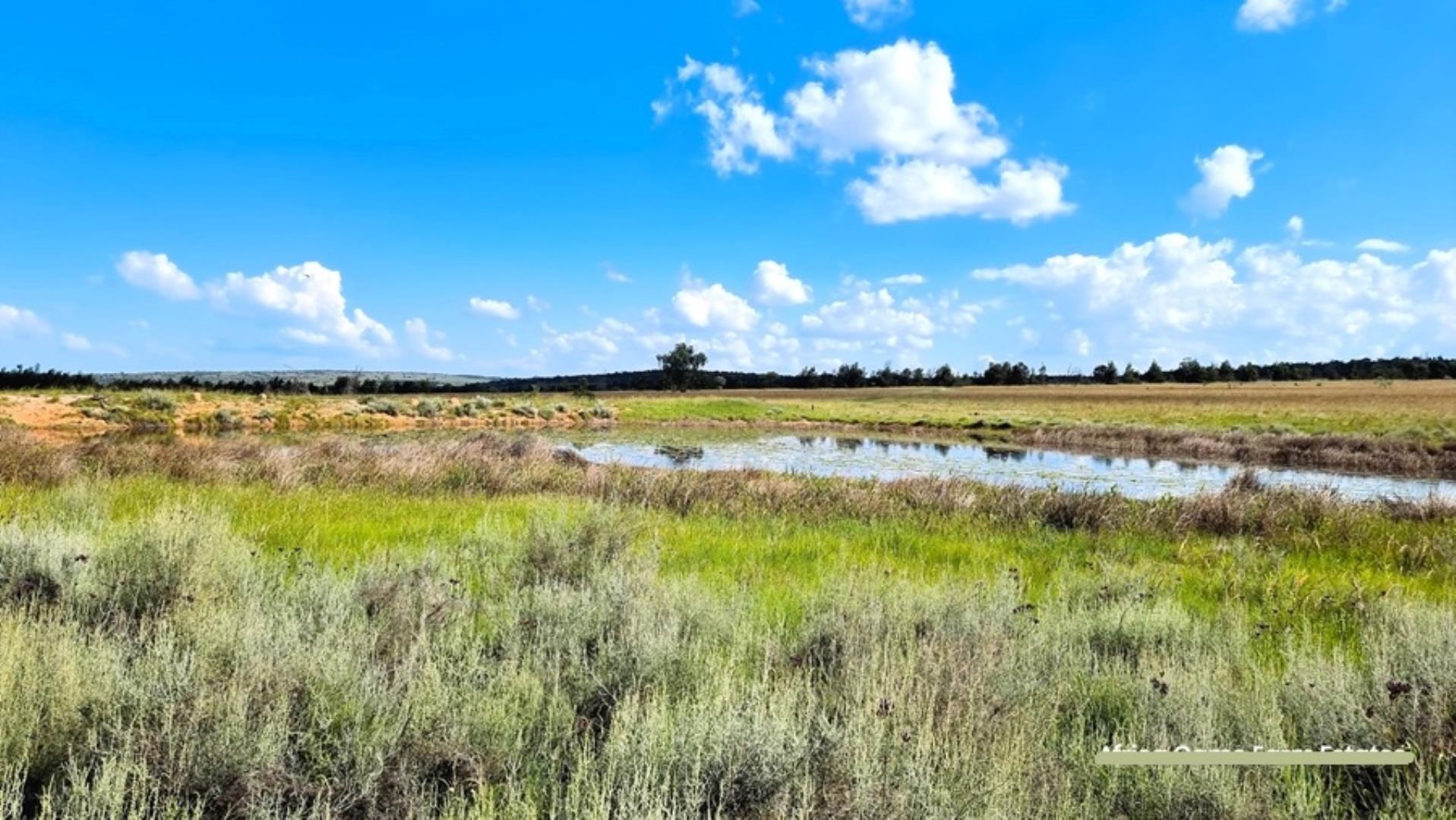 769254_Naboomspruit_Cattle_Farm_For_Sale__(35).jpg