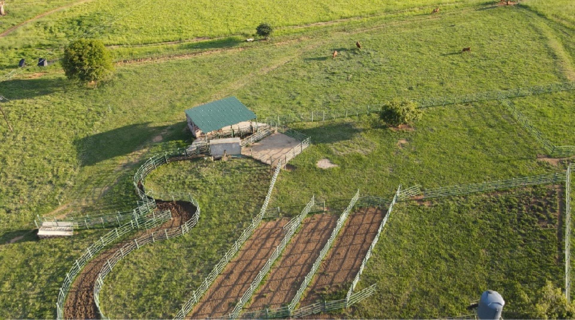 769254_Naboomspruit_Cattle_Farm_For_Sale__(48).jpg