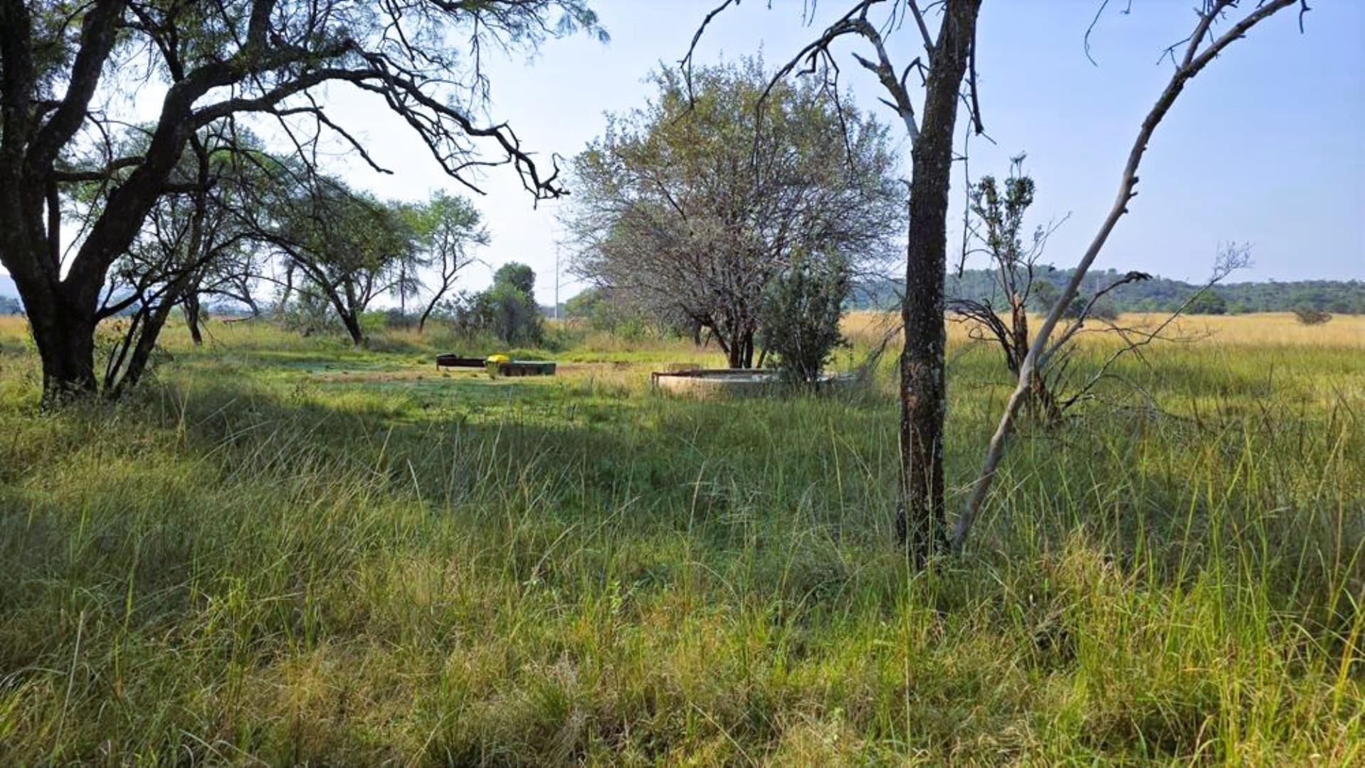 769255_233ha_Modimolle_Farm_FOR_SALE_(41).JPG