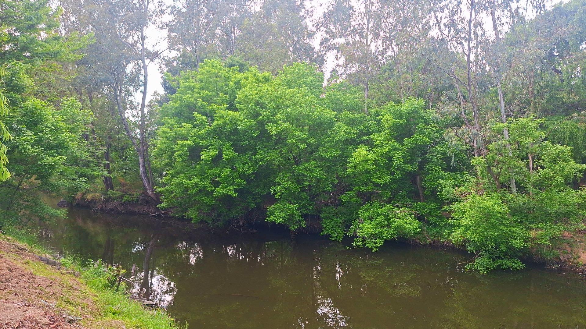 769510_IMG-20261011-WA0117.jpeg
