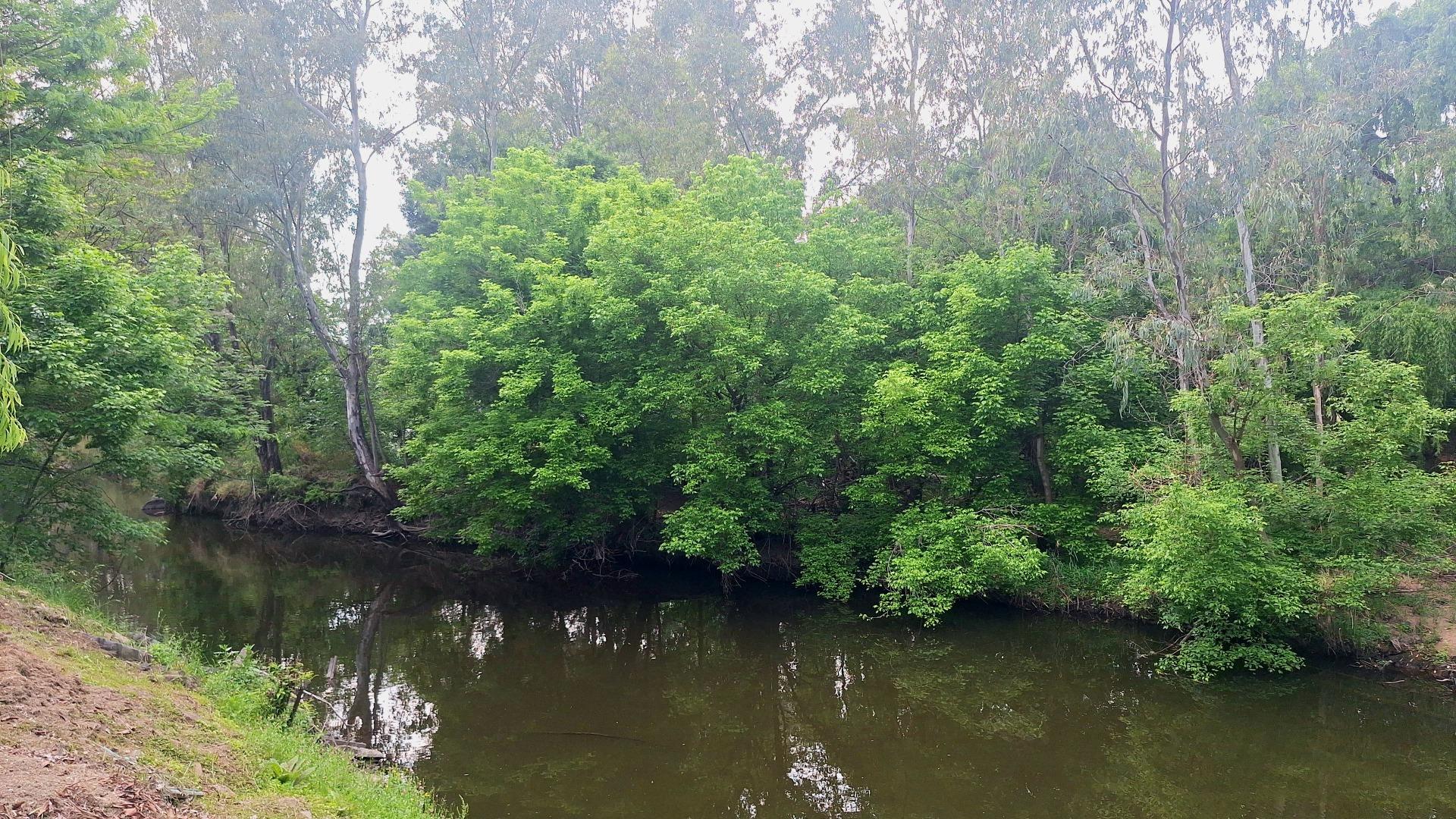 769513_IMG-20261011-WA0117.jpeg