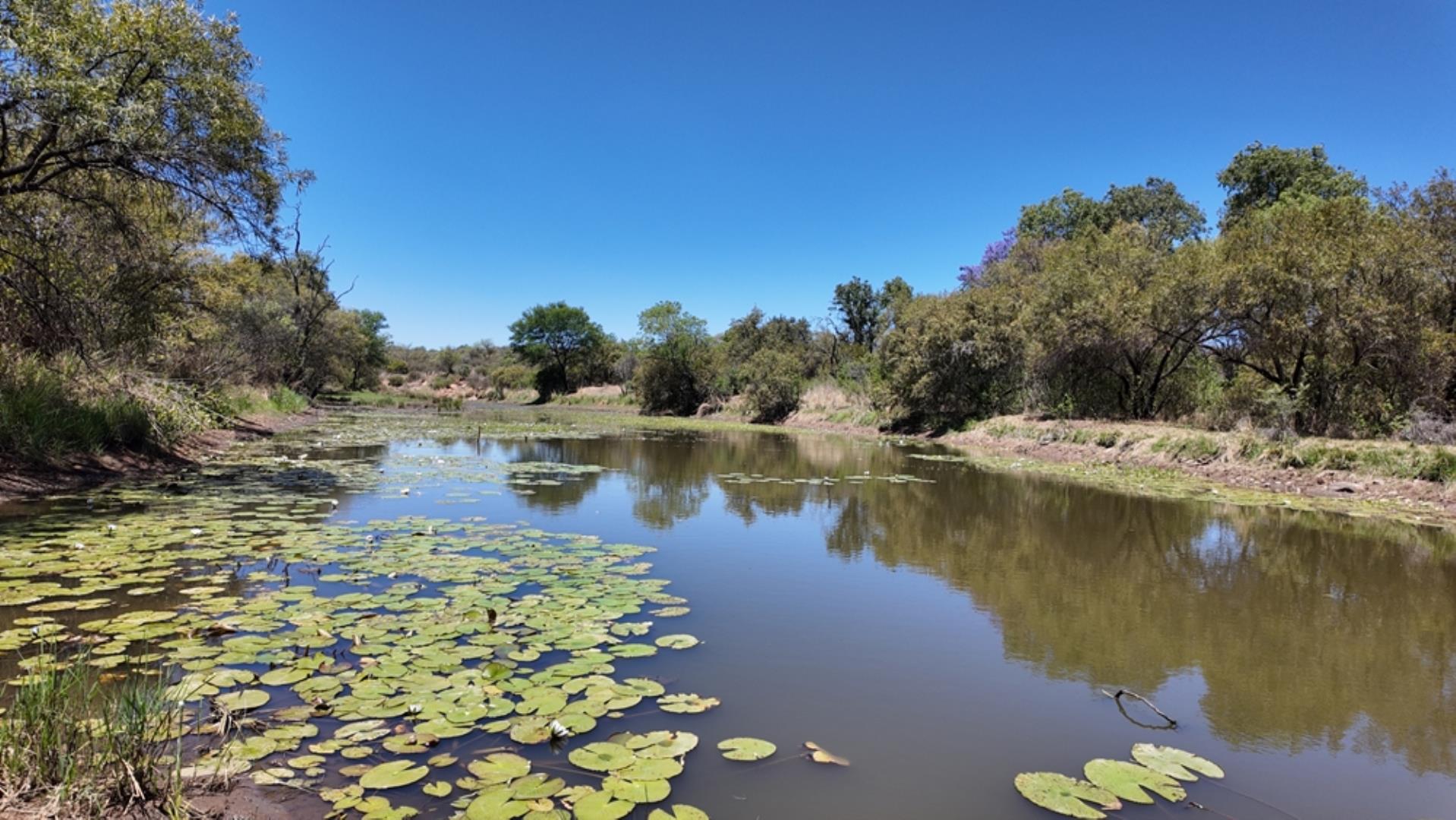 769790_803ha_Dinokeng_Tourism__Game_and_Hunting_Farm_FOR_SALE_(89).jpeg