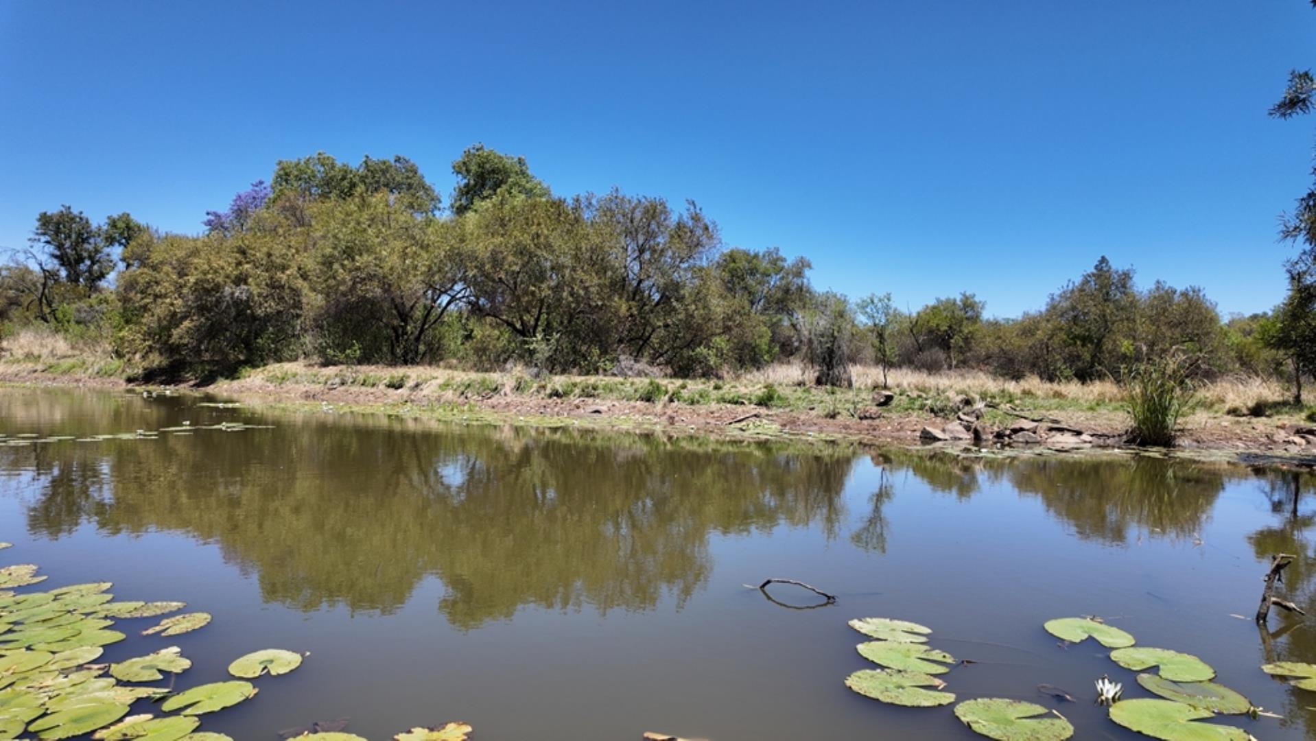 769790_803ha_Dinokeng_Tourism__Game_and_Hunting_Farm_FOR_SALE_(92).jpeg